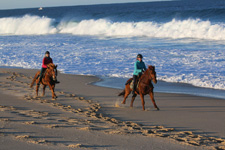 Portugal-Alentejo / Blue Coast-Bottlenose Escape